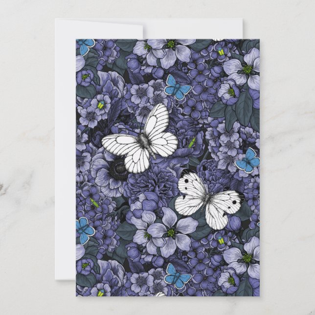 Quelle (Vorderseite)