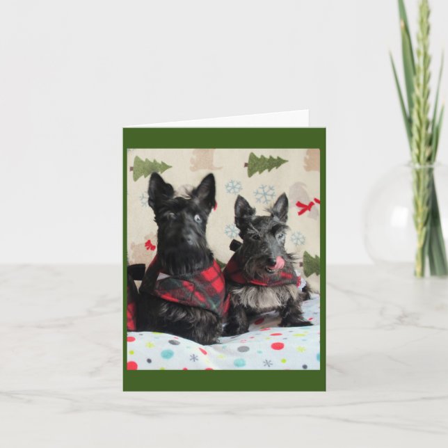 Quelle carte de renne? (Devant)