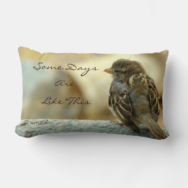 Quelques jours sont comme ceci, coussin de (Recto)