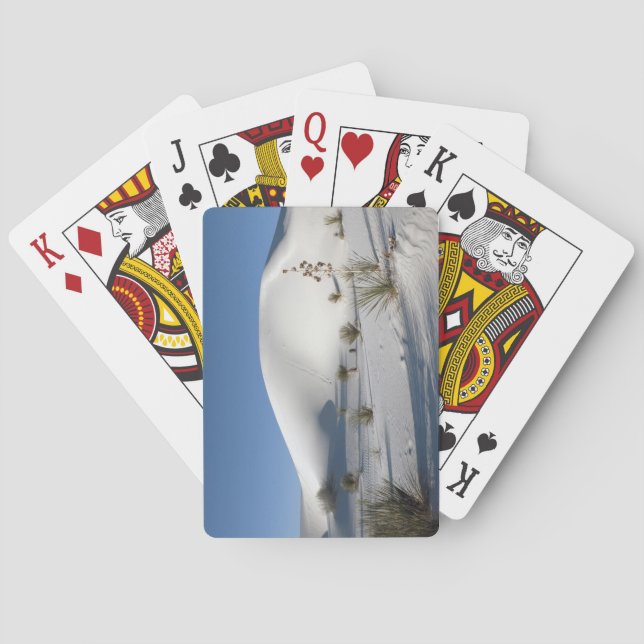 Querdünen und Soaptree Yucca Spielkarten (Rückseite)