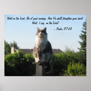Quere mit Augen Katze und Psalm-27:14 Poster