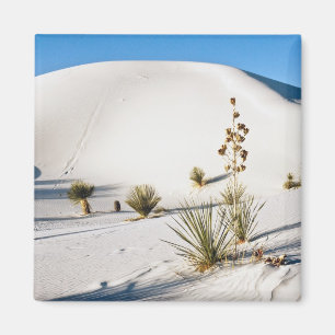 Querliegende Dünen und Seifenbaum-Yucca Magnet