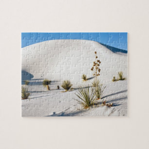 Querliegende Dünen und Soaptree Yucca