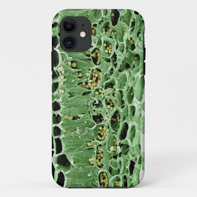 Querschnitt des Blattes Case-Mate iPhone Hülle (Rückseite)