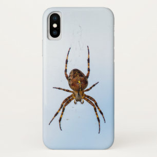 Querspinne im Netz Case-Mate iPhone Hülle