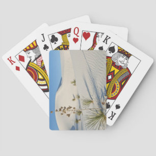 Querwellen Dünen, Yucca, Schatten Spielkarten