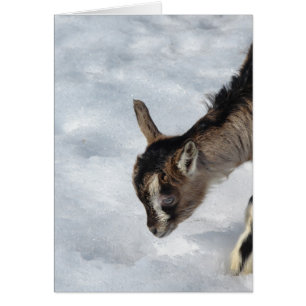 Qu'est-ce que c'est ?