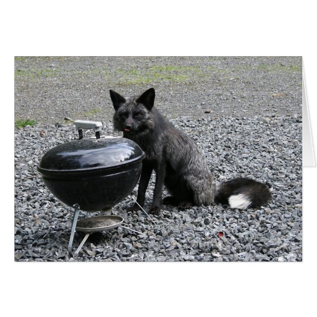 Qu'est pour le dîner ? (Devant horizontal)