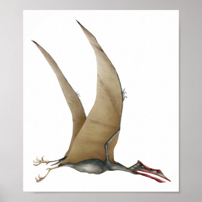 Quetzalcoatlus Poster (Vorne)