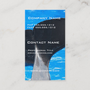 Queue des cartes de visite d'une baleine