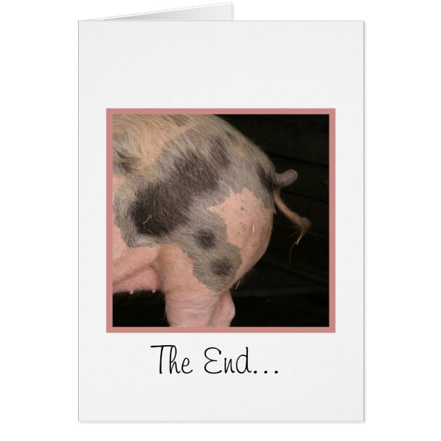 Queue porcine bouclée (Devant)