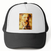 "Qui est papa de yo ?" Casquette de camionneur