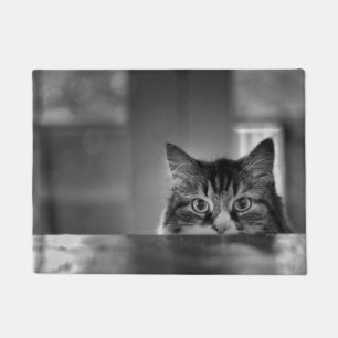 Qui Meows là tapis de porte