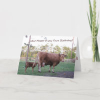 Qui Mooo C'était ton anniversaire ? Carte d'annive
