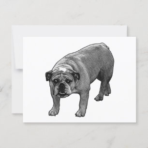 Quick Cheer Bulldog Postkarte