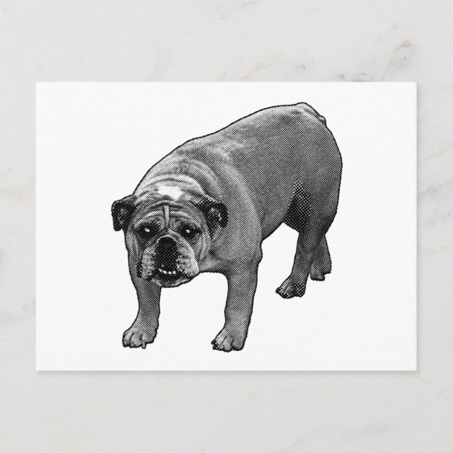 Quick Cheer Bulldog Postkarte (Vorderseite)
