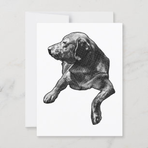 Quick Hello mit feinen Punkten Postkarte