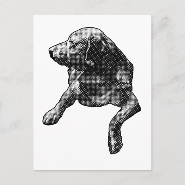 Quick Hello mit feinen Punkten Postkarte (Vorderseite)