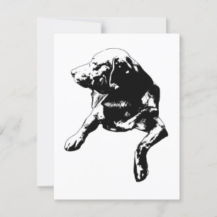 Quick Hello, Side-Turn-Labrador Postkarte