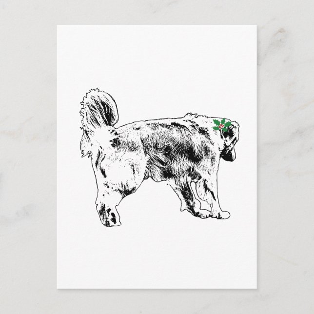 Quick Retriever Wish Postkarte (Vorderseite)