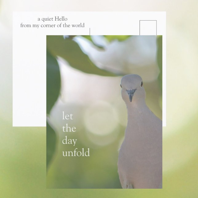 Quiet Bird Moment – Let the Day Unfold Dove Postkarte (Von Creator hochgeladen)