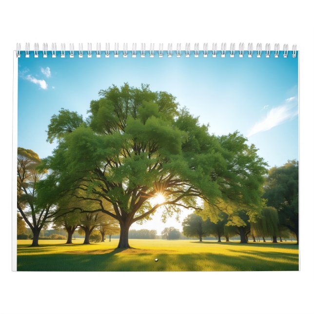 Quiet Time With a Big Tree  Kalender (Titelbild)