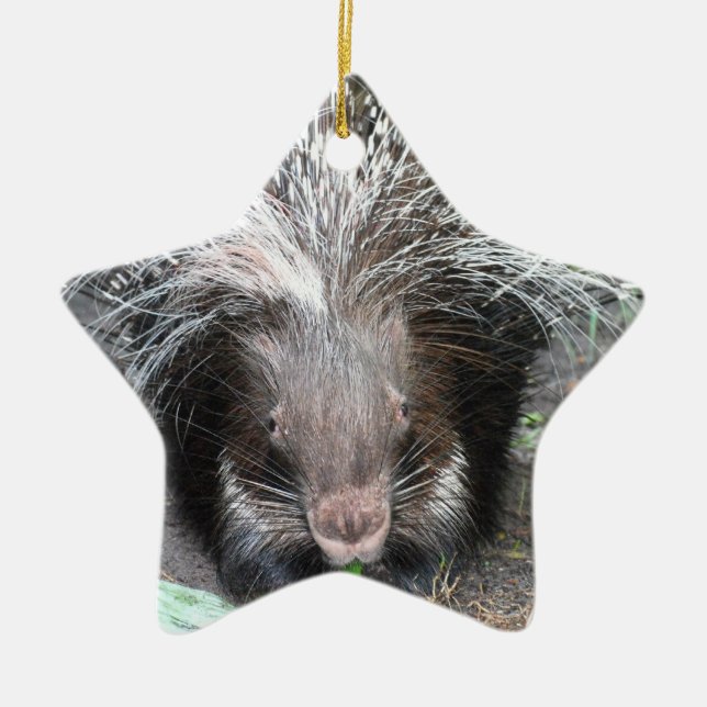 Quilled Stachelschwein-Verzierung Keramik Ornament (Vorne)