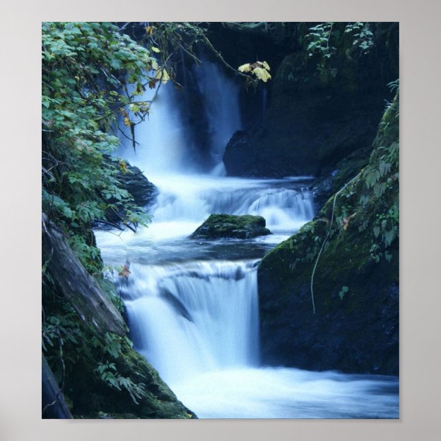 Quinalt Waterfall Canvas Print Poster (Vorne)