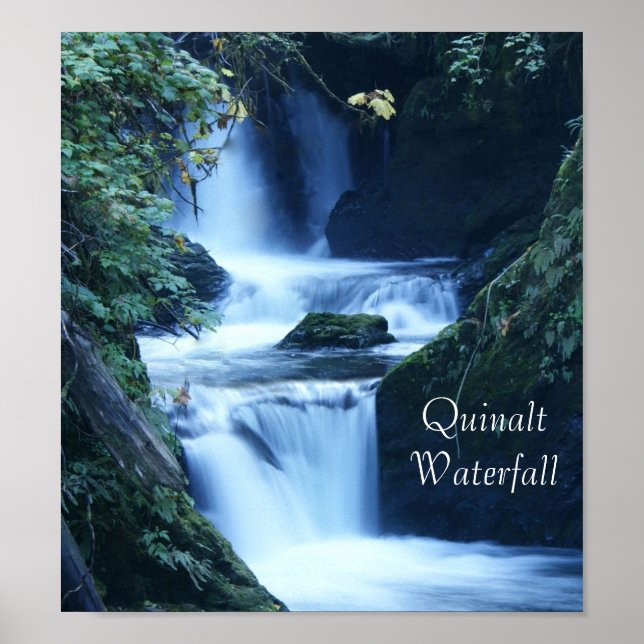 Quinalt Waterfall Poster (Vorne)