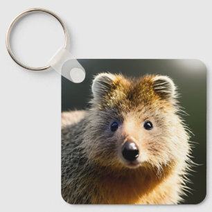 Quintin The Ginger Quokka, Keyring Schlüsselanhänger