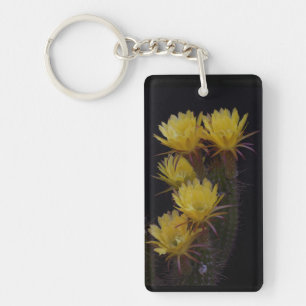 Quintuple de fleurs de cactus