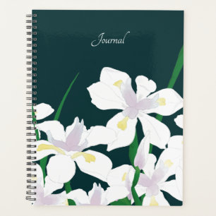 Quinzaine Lily