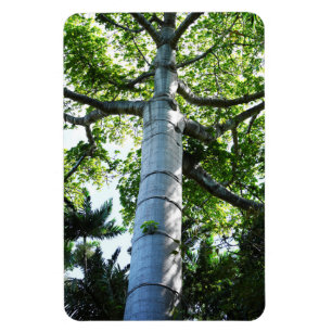 Quipo Tree Foto Magnet