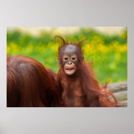 Quirky-Charme eines Orangutan-Babys Poster