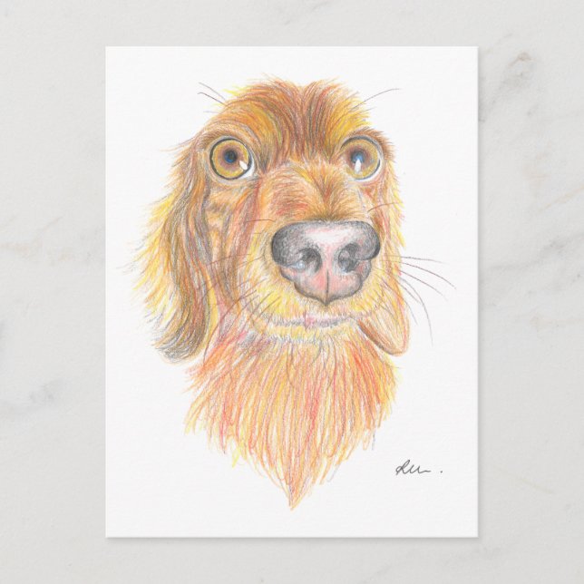 Quirky-Dackel Postkarte (Vorderseite)