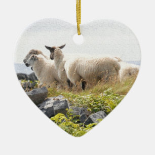 Quirky Designs - Schafe in einem Feld Keramik Ornament