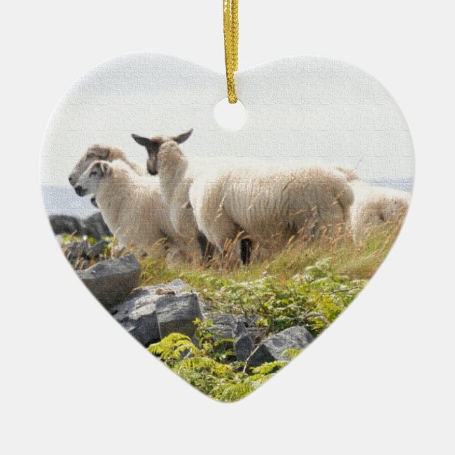 Quirky Designs - Schafe in einem Feld Keramik Ornament (Vorne)