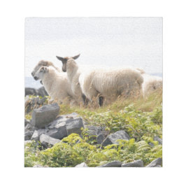 Quirky Designs - Schafe in einem Feld Notizblock