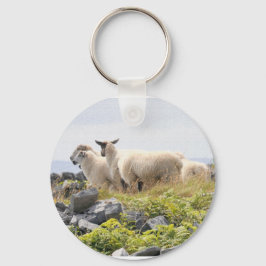 Quirky Designs - Schafe in einem Feld Schlüsselanhänger