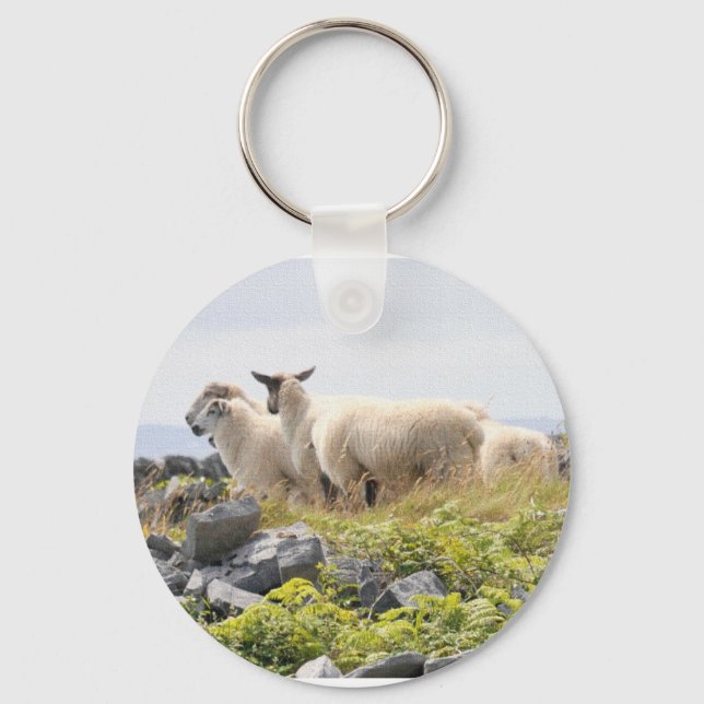 Quirky Designs - Schafe in einem Feld Schlüsselanhänger (Vorderseite)