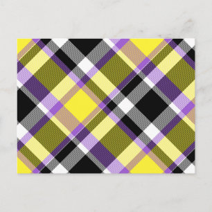 Quirky Eclectic Boho Nonbinary Karo Stolzflagge Postkarte