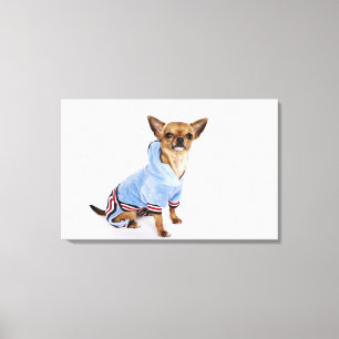 Quirky-Porträt eines Teacup Chihuahua 2 Leinwanddruck
