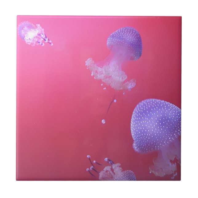 Quirky-Qualle im rosa Wasser Fliese (Vorderseite)