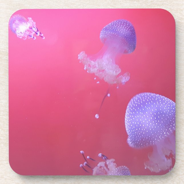 Quirky-Qualle im rosa Wasser Getränkeuntersetzer (Vorderseite)