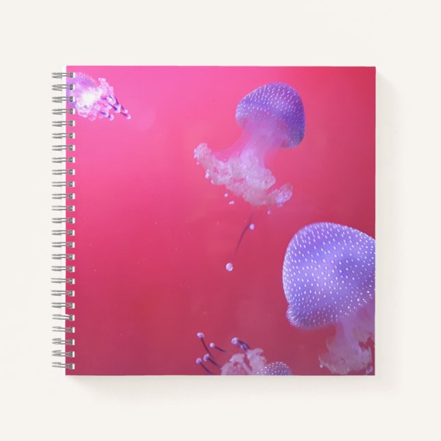 Quirky-Qualle im rosa Wasser Notizbuch (Vorderseite)