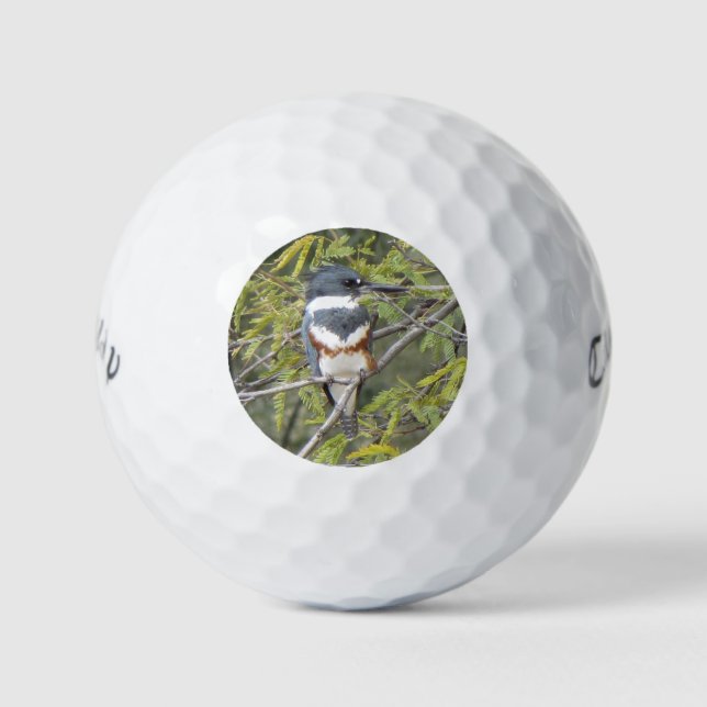Quitte Kingfisher Golfball (Vorderseite)