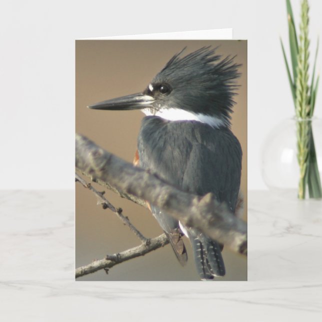 Quitte Kingfisher Karte (Vorderseite)