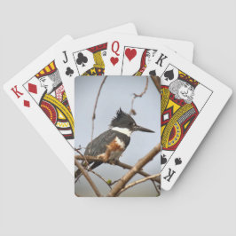 Quitte Kingfisher Spielkarten