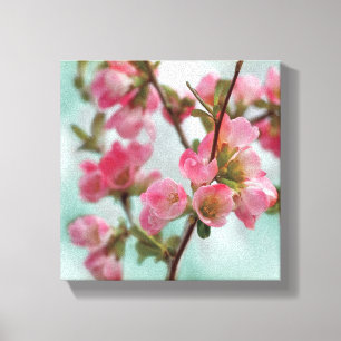 Quitten-Blüten Leinwanddruck