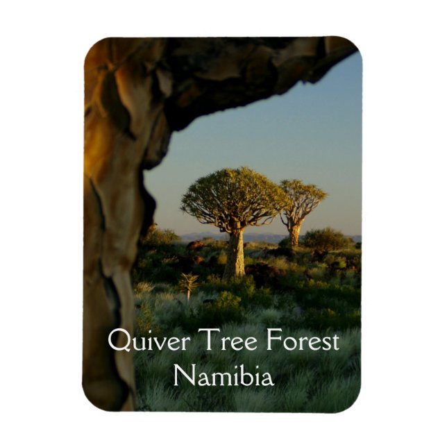 Quiver Tree Forest, Namibia Magnet (Vertikal)